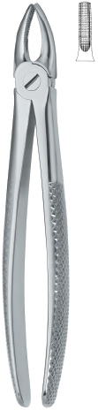 Tooth Ext Forceps